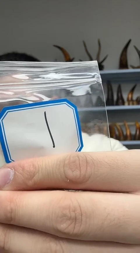 【闪购商品】工艺品根雕1