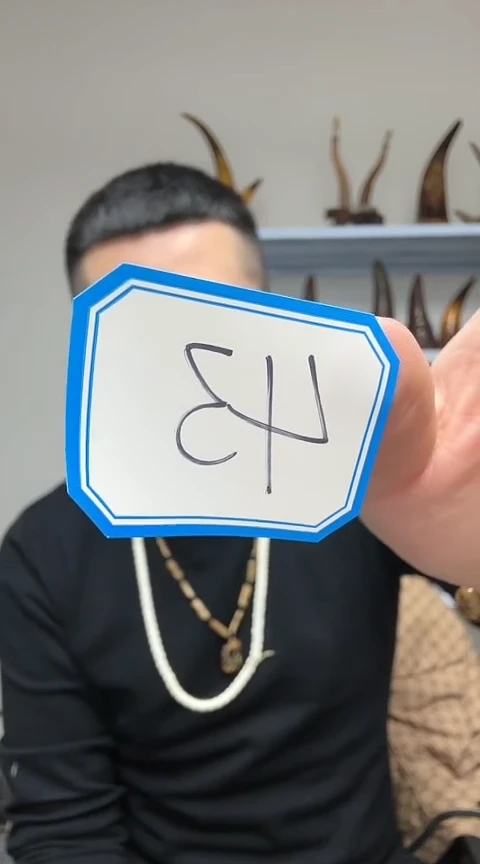 【闪购商品】工艺品根雕43