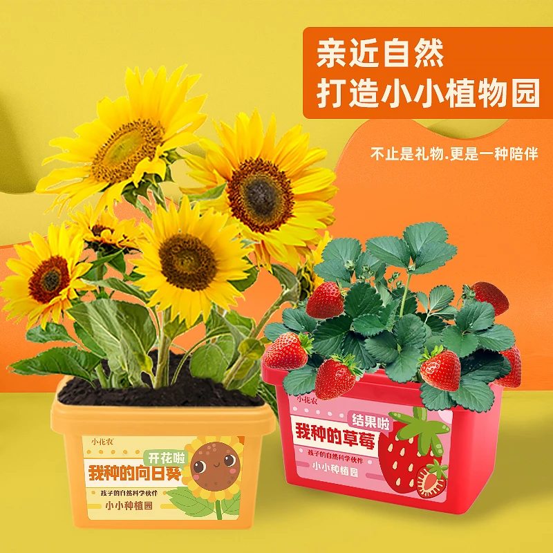 户外劳动课品质吨吨桶超大绿植小小种植园有颜更有料植物观察教材