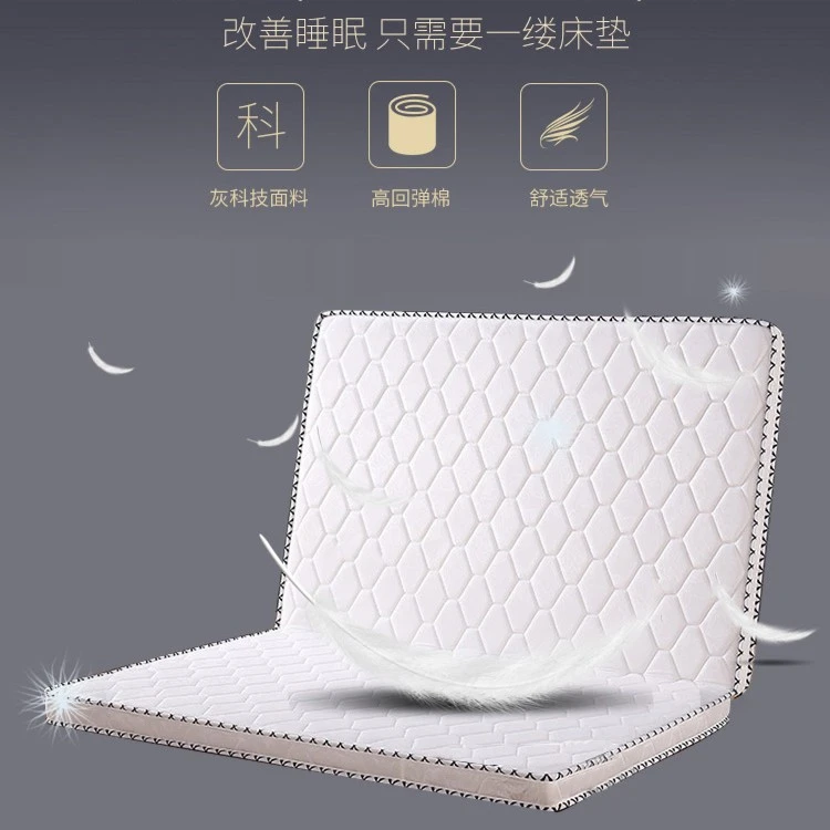 【邝总工厂】木闻可折叠椰棕床垫简约透气家用加厚环保椰棕床垫1711