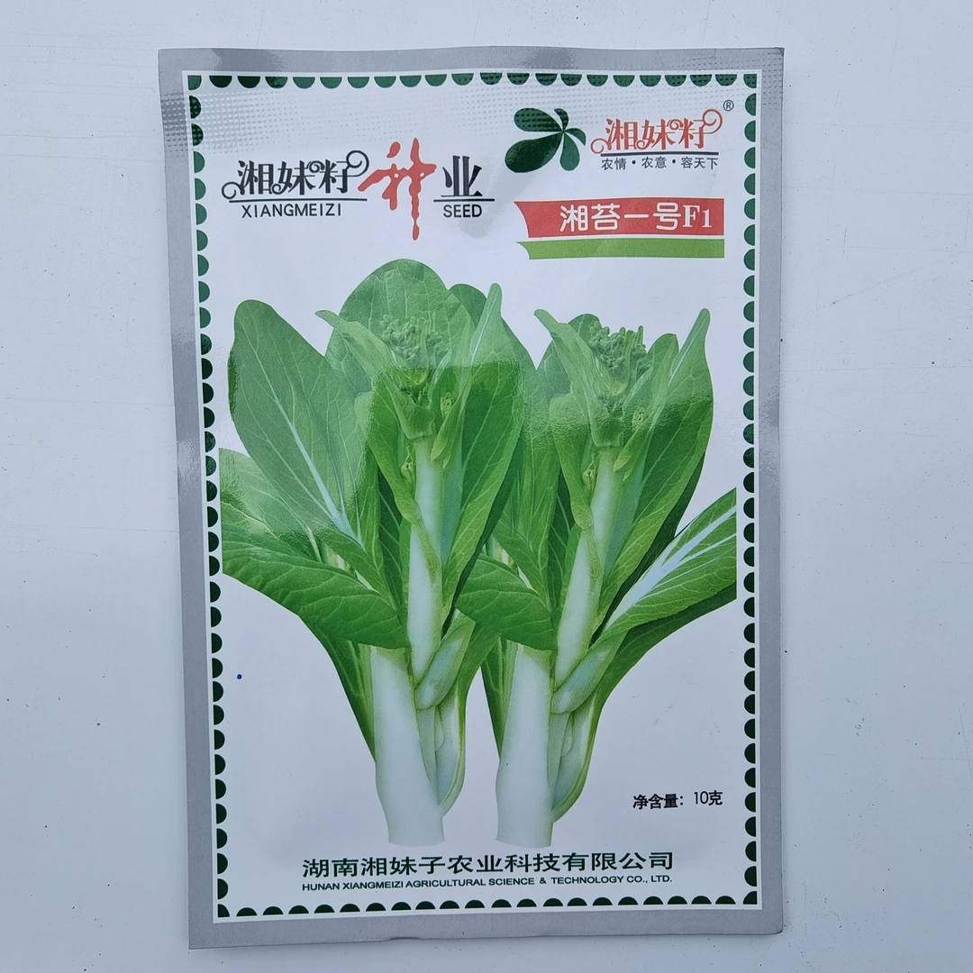 湘妹子（湘苔1号）白菜苔种子（10克）/包早熟耐高温侧苔能力强秋冬季