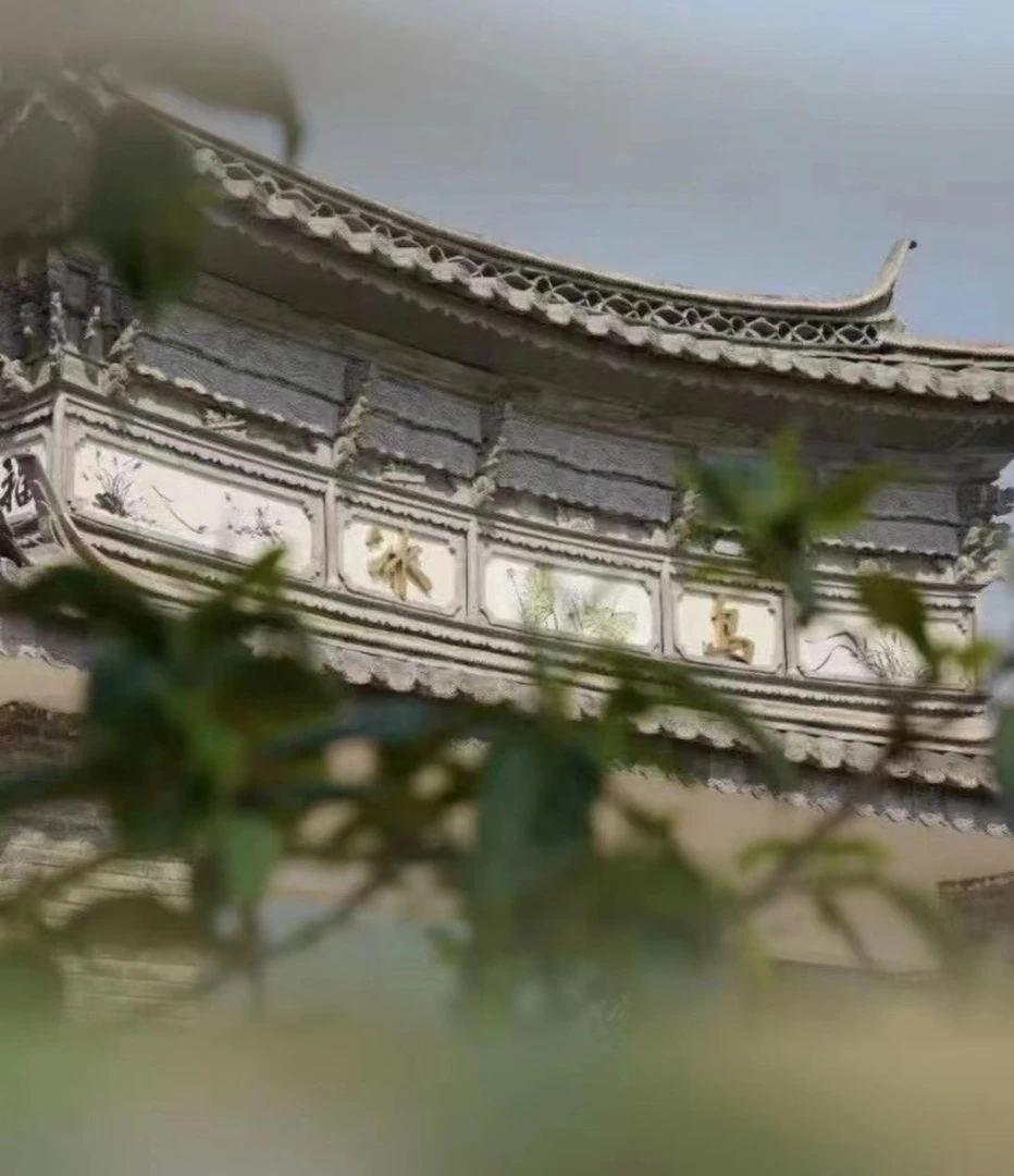 直播间专拍链接  普洱茶 附带同款茶样