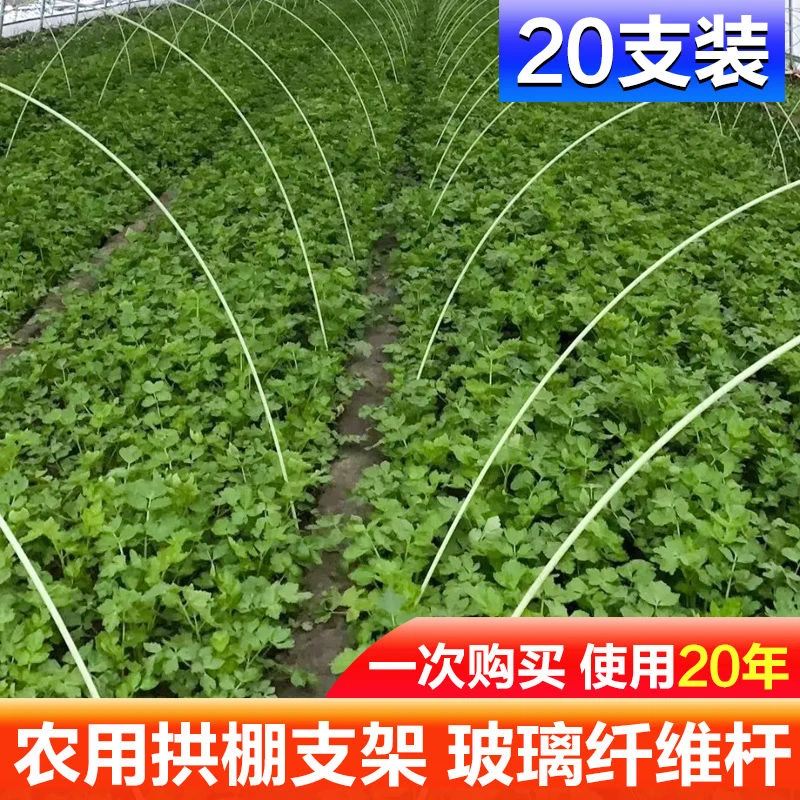 小拱棚支架拱杆菜棚实心玻璃纤维杆地膜保温棚园艺农用大棚骨架竿