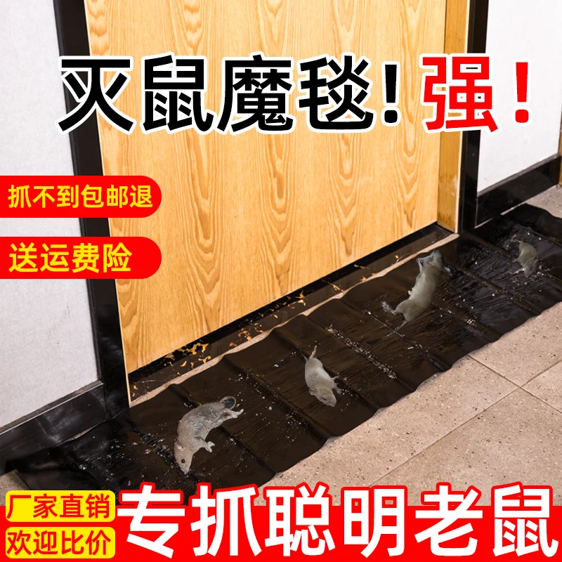超强力粘鼠贴捉粘大老鼠贴粘胶抓灭鼠捕鼠神器加厚加大家用粘鼠毯