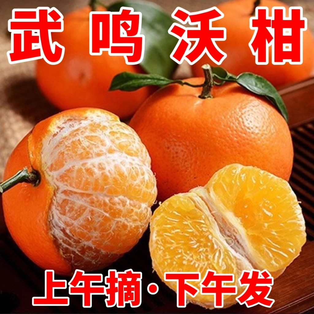 正宗广西武鸣沃柑新鲜采摘当季水果皮薄多汁爽口5斤装