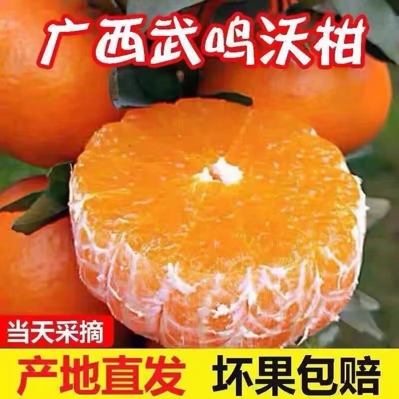 正宗广西武鸣沃柑新鲜采摘当季水果皮薄多汁爽口5/9斤