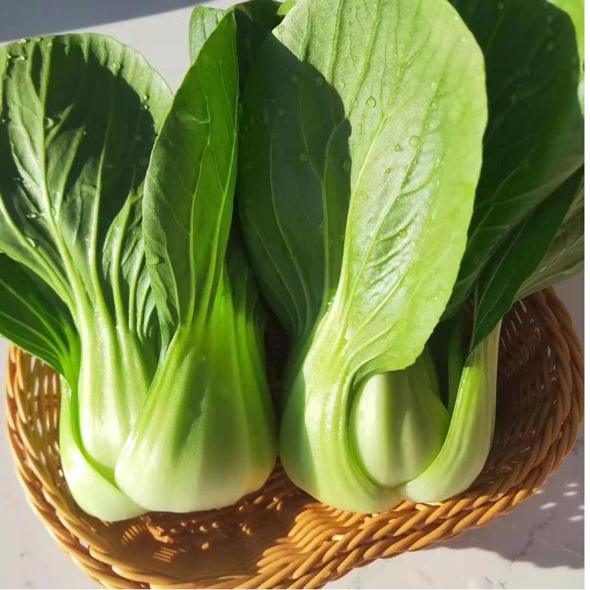 立农维康新鲜上海青油菜