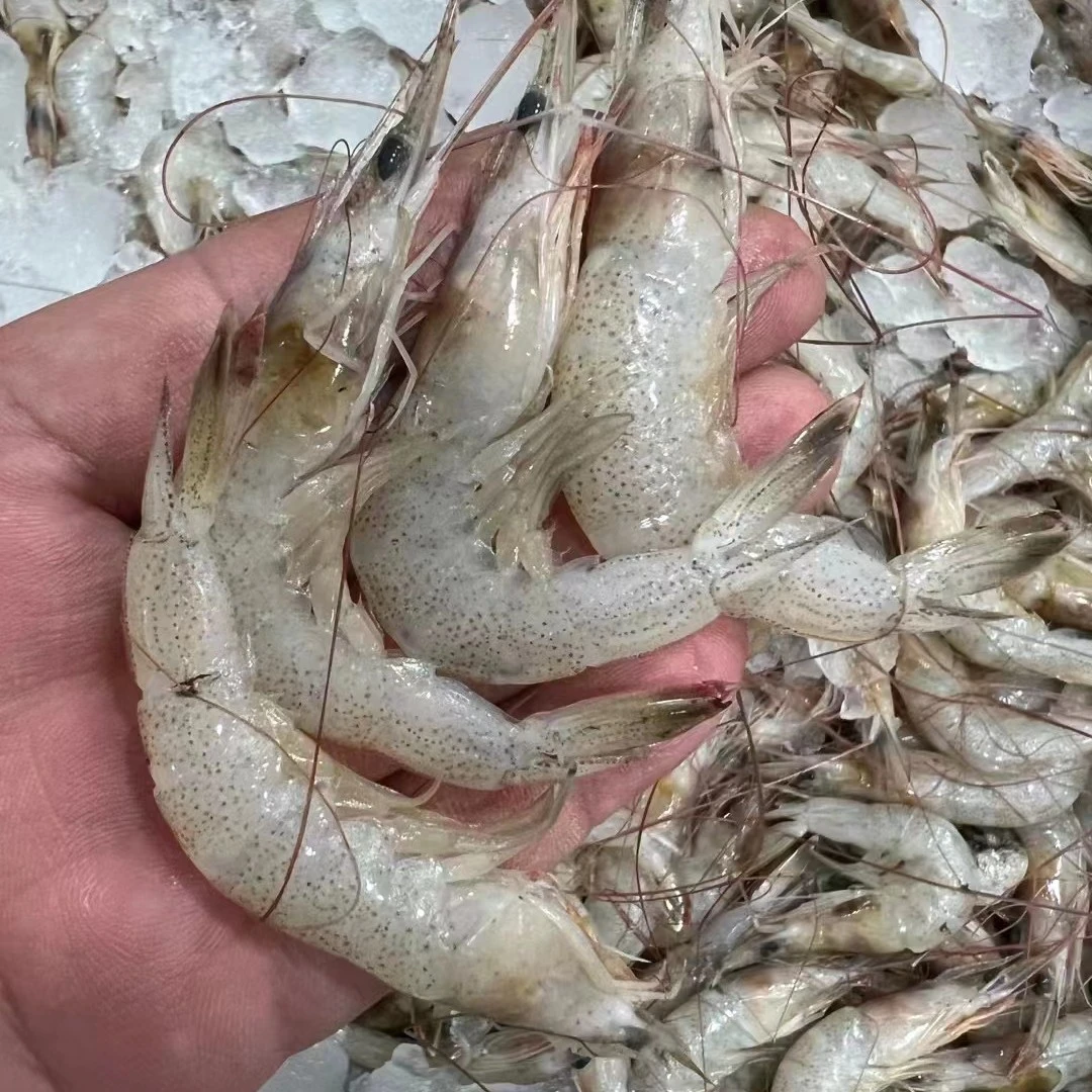 吕四白虾 白虾仁 2.5斤顺丰包邮