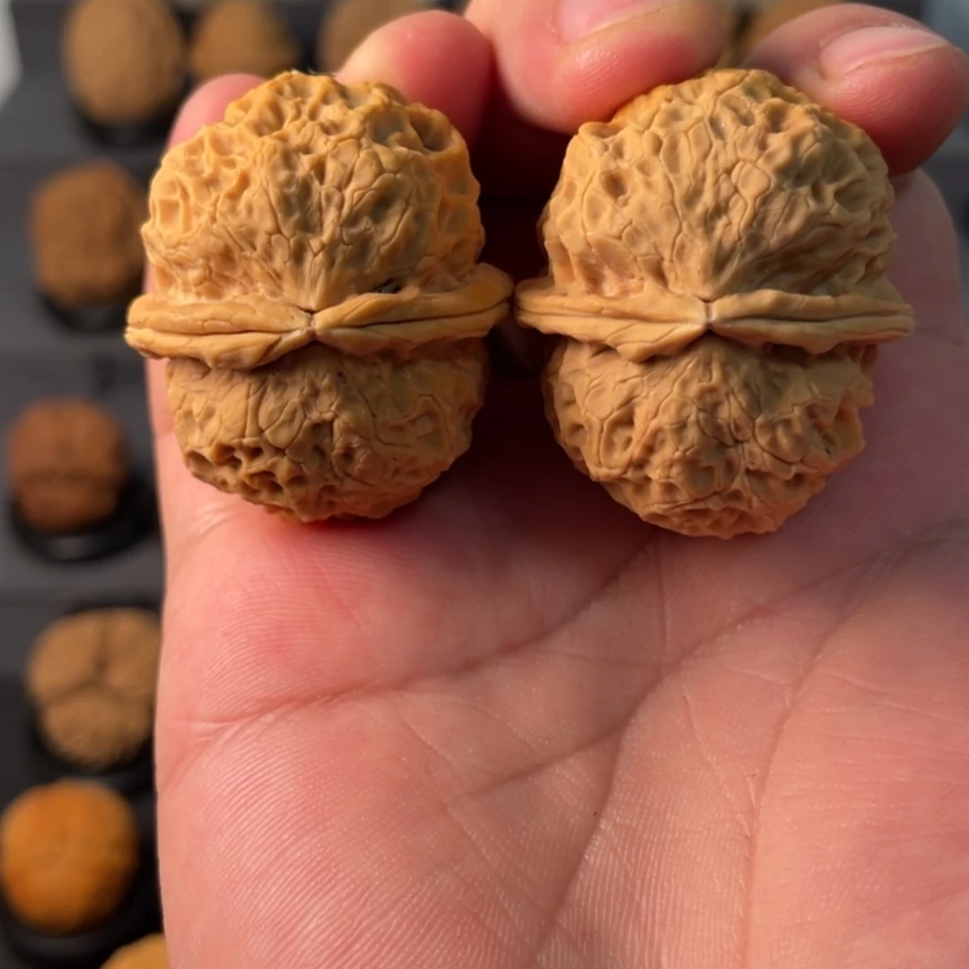 【闪购商品】文玩核桃把件铁龙胆