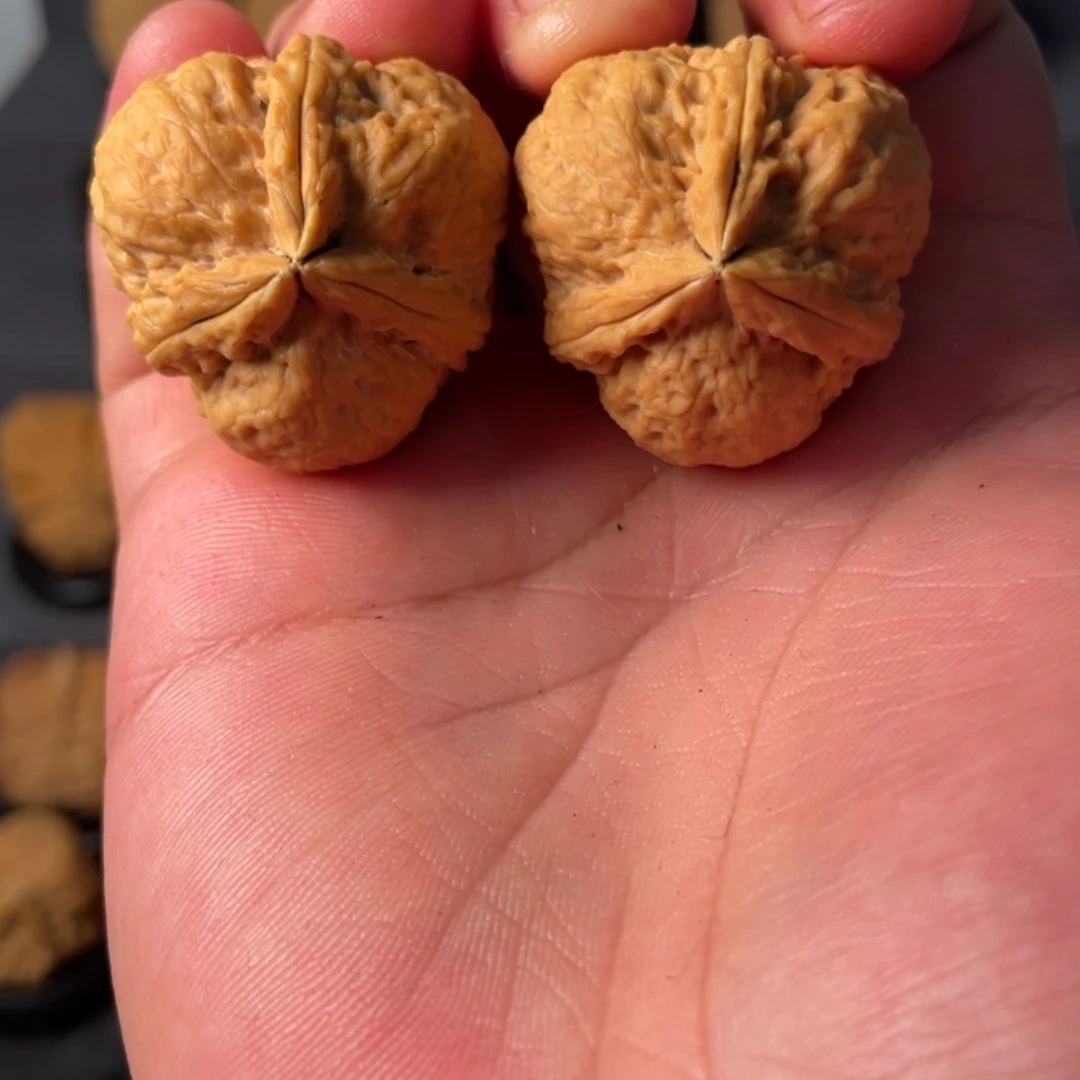 【闪购商品】文玩核桃把件33粗筋三棱