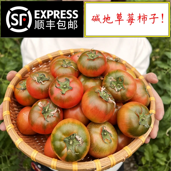【3/5斤特等中大果】盘锦碱地柿子草莓柿子铁皮柿子孕妇水果番茄