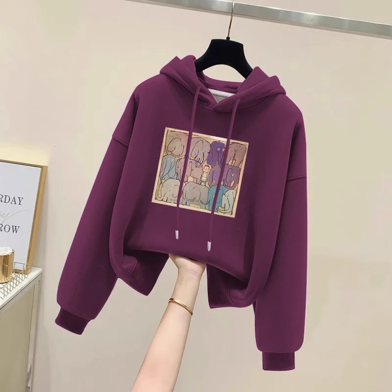 设计感小众秋冬新款2025加绒加厚套头连帽卫衣女短款宽松韩版外套