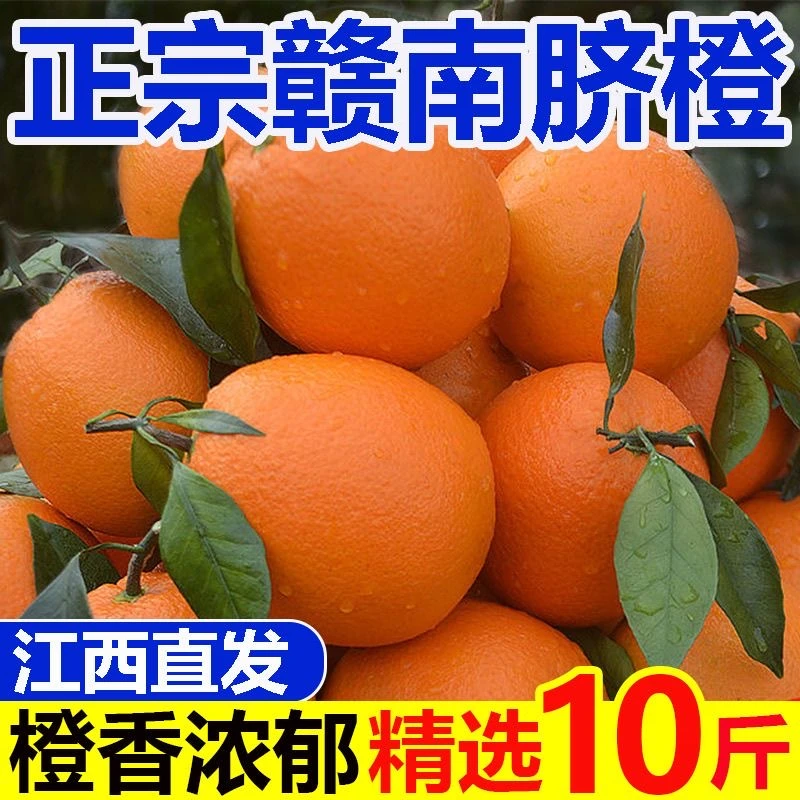 【（原生态）正宗赣南脐橙】表里不一现摘当季水果绿色水果