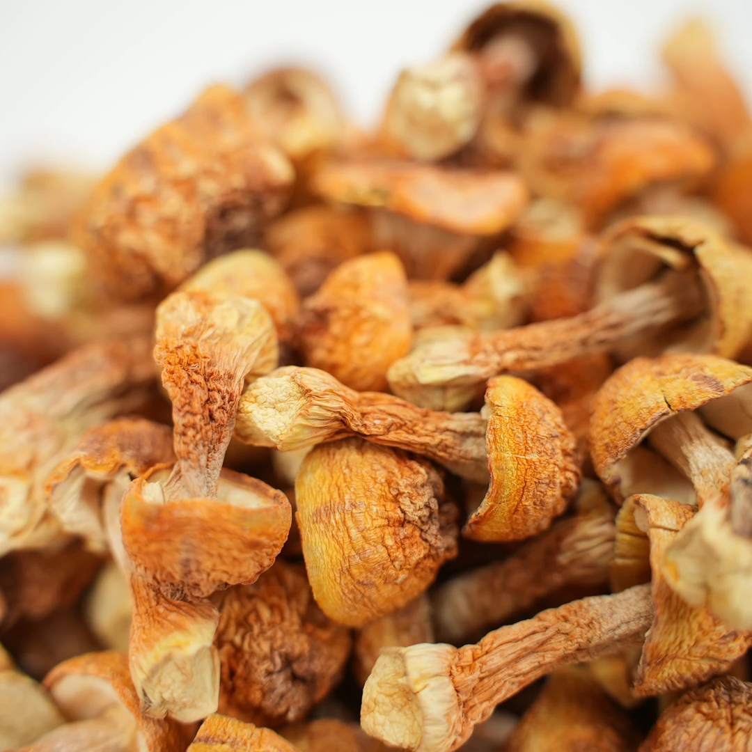 云南姬松茸干货250g脆嫩煲汤美味可搭百合