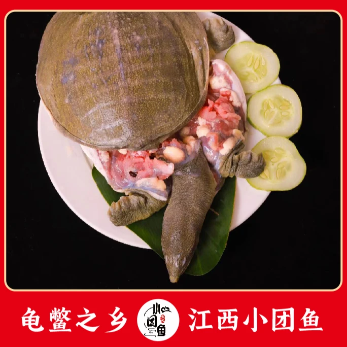 3只6-6.5斤帮忙杀,真空保鲜,(1斤出7两肉)发顺丰包邮到家