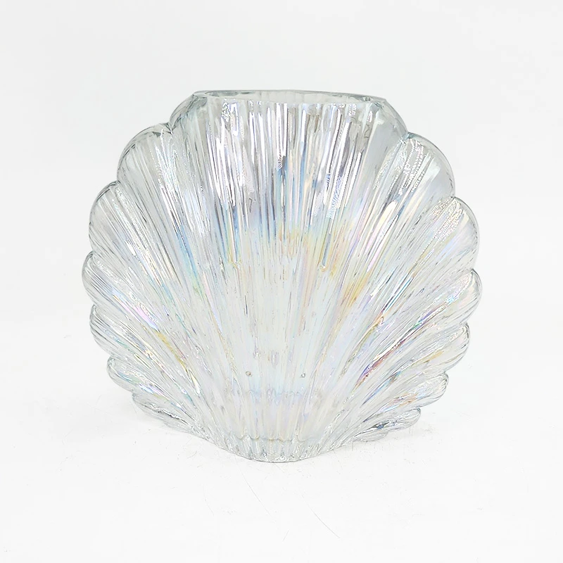 【RS212】摩瑟家居【炫彩小贝壳】HCDF花瓶摆件玻璃花盆