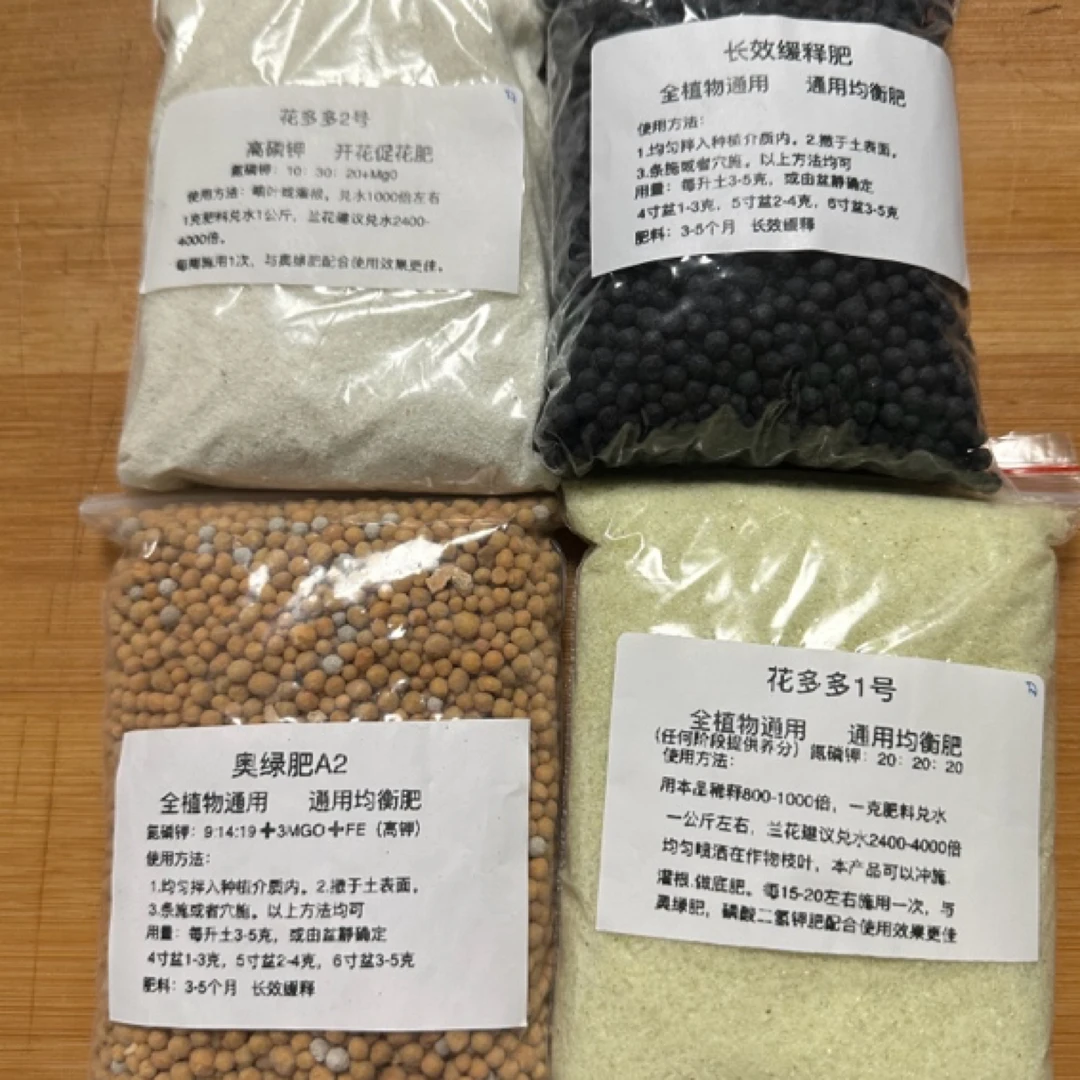 朱顶红 紫根兰 奥绿  花多多