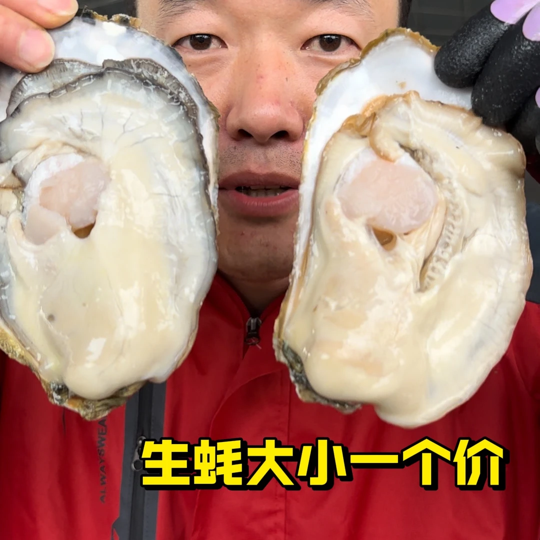 深海生蚝大小一个价三倍体4斤7斤装包肥包活肥美鲜活海鲜刺身