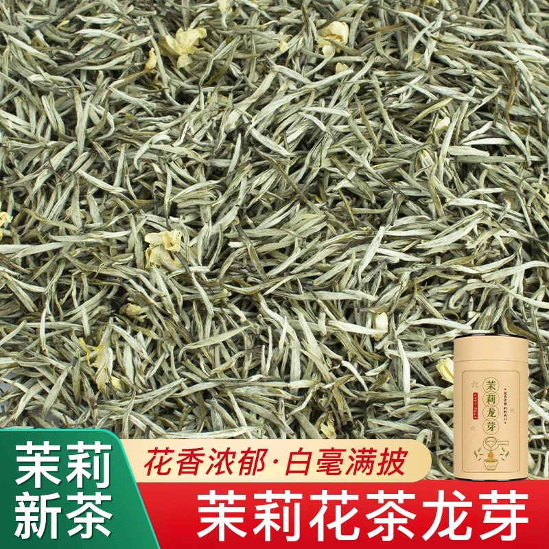 崂茗茉莉花茶龙芽2025新茶九窨一提