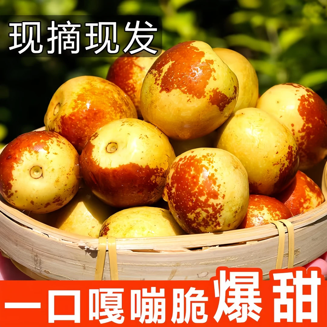 【22沾化冬枣】好吃的冬枣 冰糖冬枣 自然成熟 新鲜现摘 当季水果