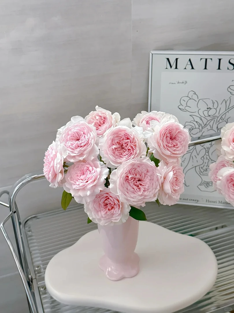 草莓奶昔--稀有单头玫瑰(实物以直播间为准)花艺生活摆放