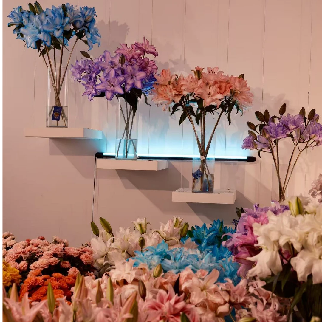 玫瑰 活动款大礼包  直播间所有单品不指定品种 