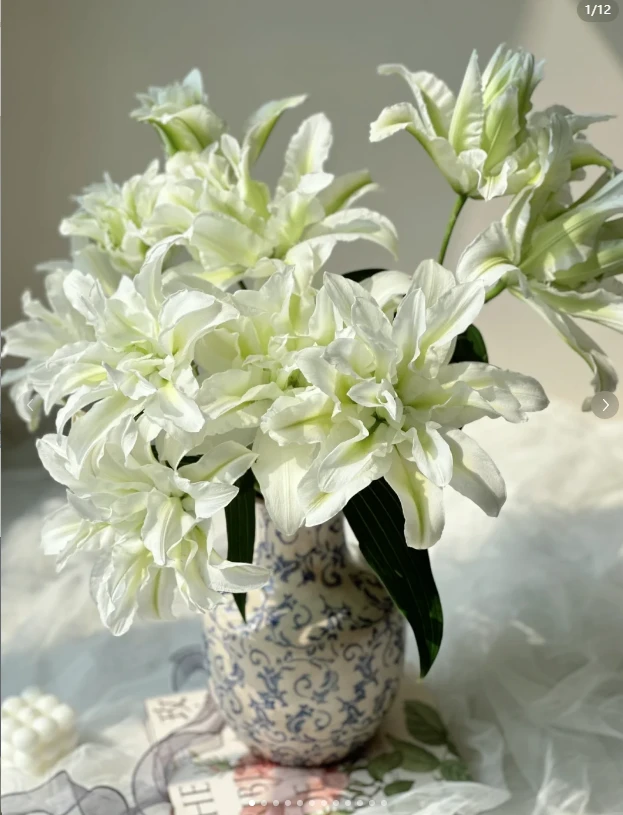 定制精选 多头浪漫之星重瓣百合--(实物以直播间为准)