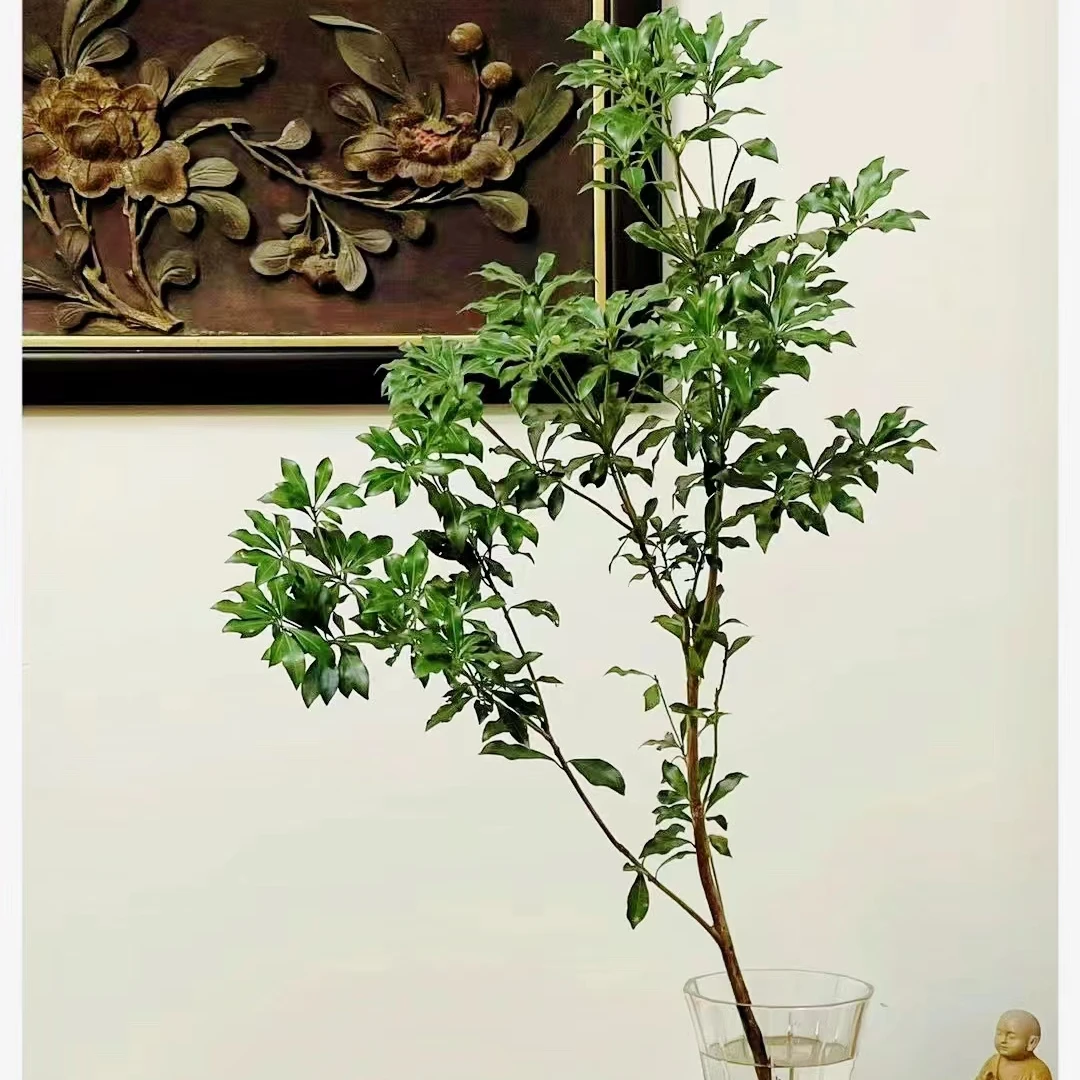 （定制精选）马醉木1支--收到花有问题联系客服，实物与直播间为准