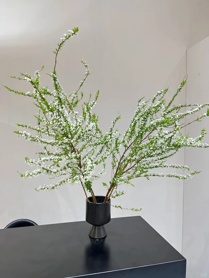 白雪柳 居家瓶插  (实物以直播间为准)花艺生活摆放