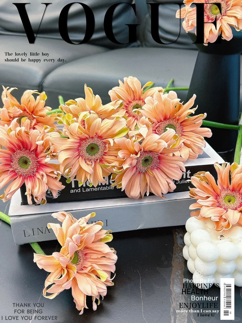 亚丁非洲菊10支（实物以直播间展示为准）