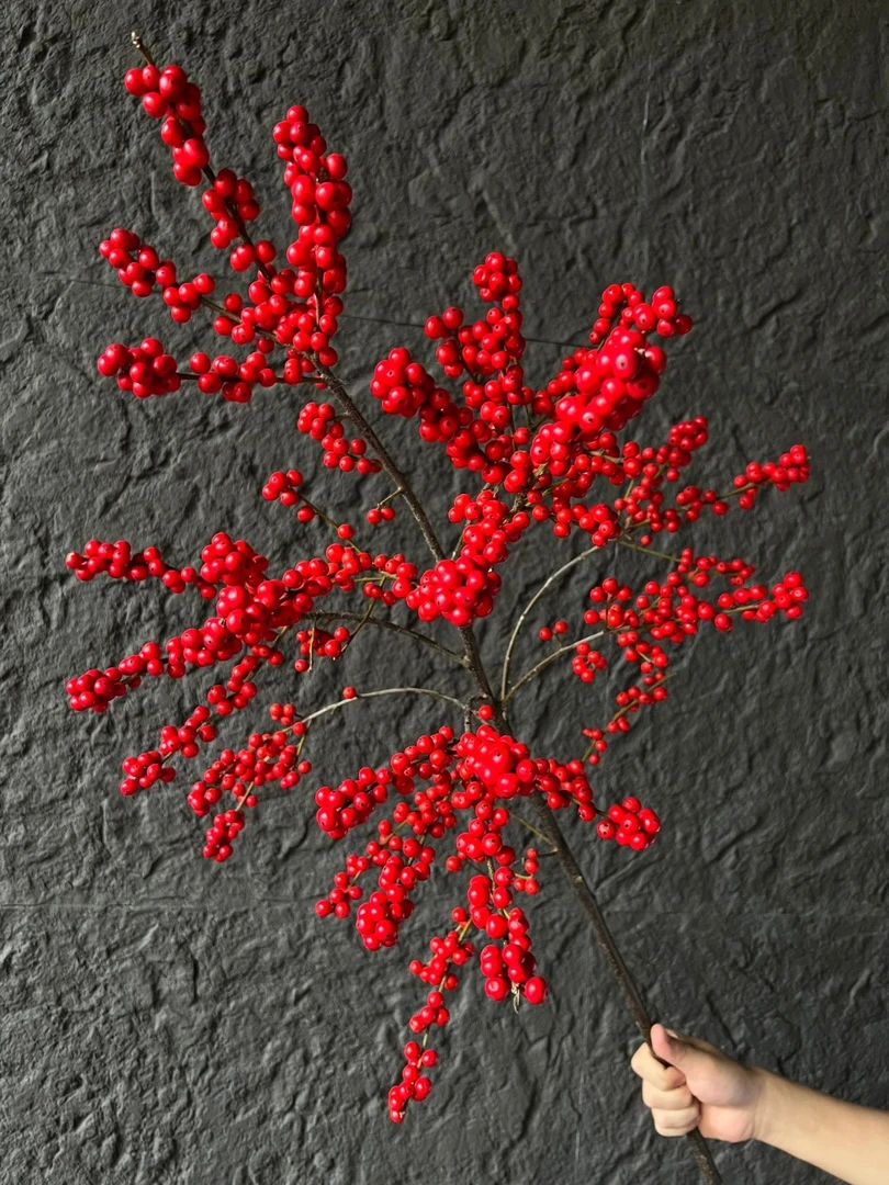 80cm款冬青红果3支鲜切枝氛围居家瓶插-观赏-应景