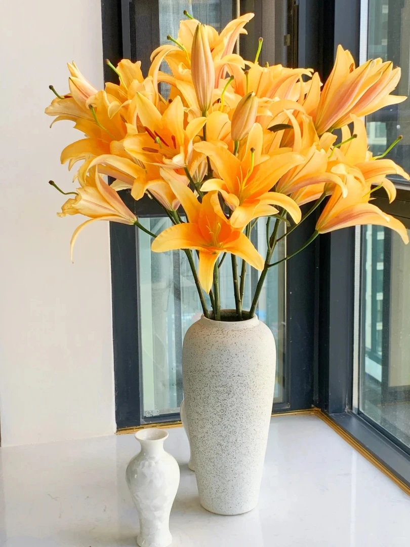 定制精选 晚霞 多头单瓣香水百合