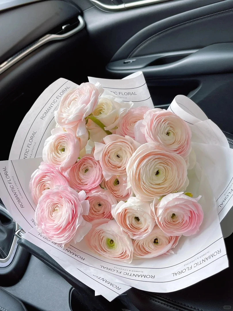 定制精选 河内洋牡丹5支--收到花先醒花