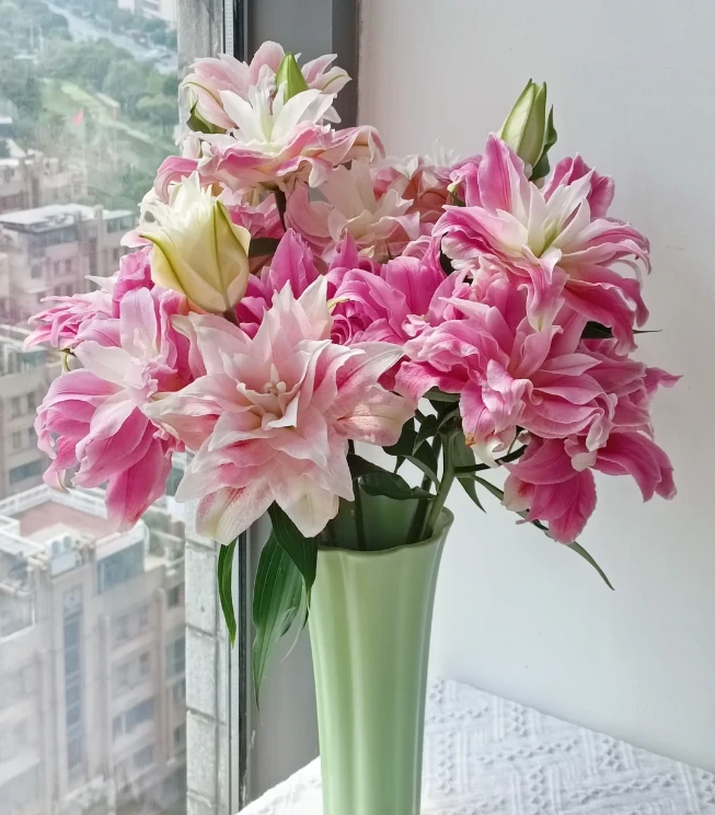 （定制精选）3头红丝带重瓣百合--【实物以直播间展示为准】