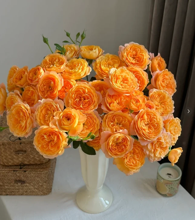 果汁阳台--多头玫瑰--收到花第一时间带包装醒花哟