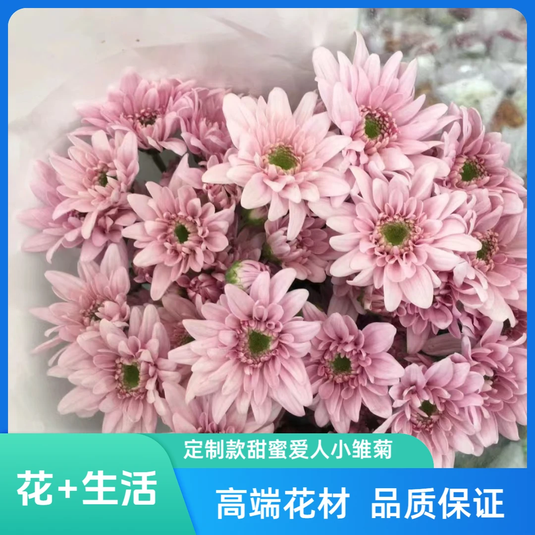 （定制精选）甜蜜爱人小雏菊-收到花第一时间醒花哟实物直播间为准