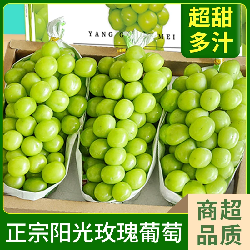 【顺丰包邮】3斤装尝鲜口感脆甜晴王阳光玫瑰多汁葡萄提子