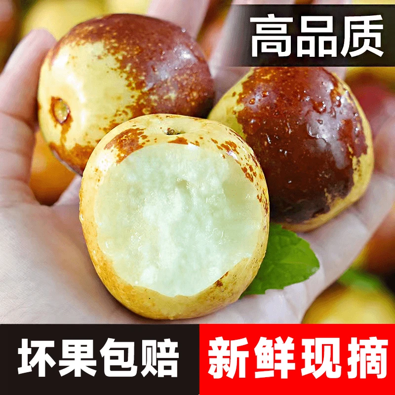 5斤正宗沾化冬枣山东冰糖冬枣脆甜特大果当季新鲜水果3斤产地直发