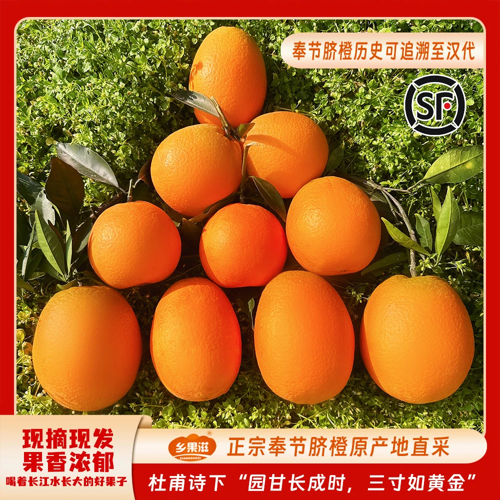 重庆奉节脐橙福本纽荷尔【顺丰包邮】新鲜非赣南脐橙现摘原产地自然