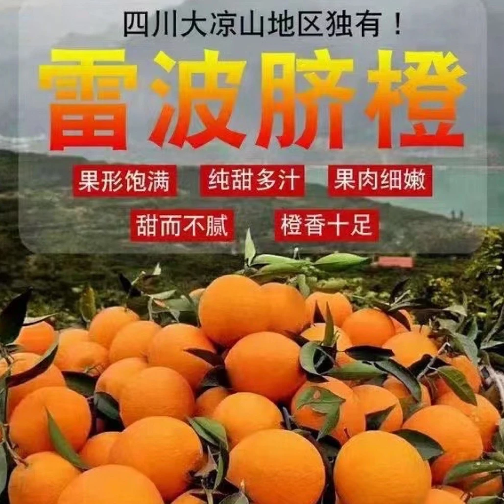 (坏果包赔)四川大凉山正宗雷波脐橙优大果9斤