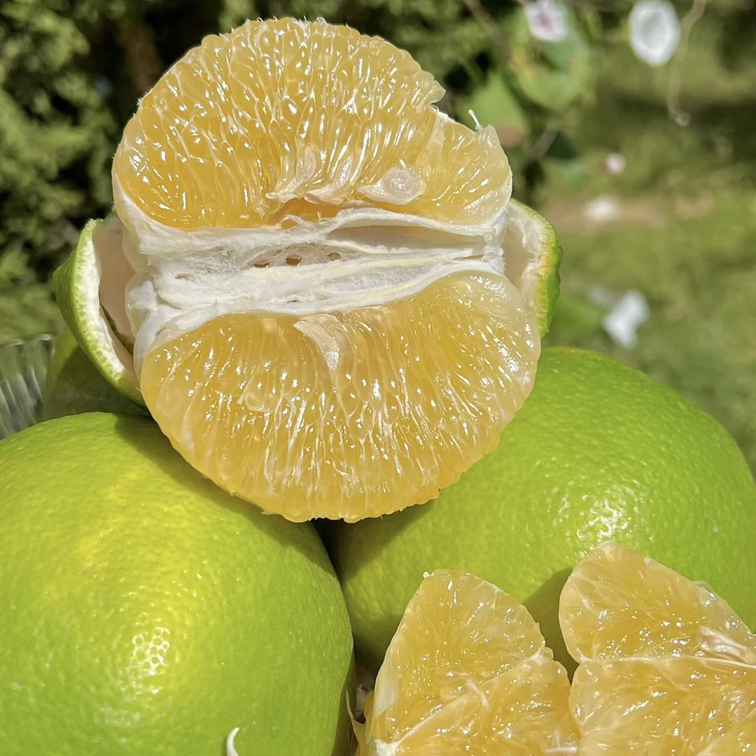 云南新鲜青皮葡萄柚  6斤装 爆汁产地现采现发，皮薄多汁果肉饱满