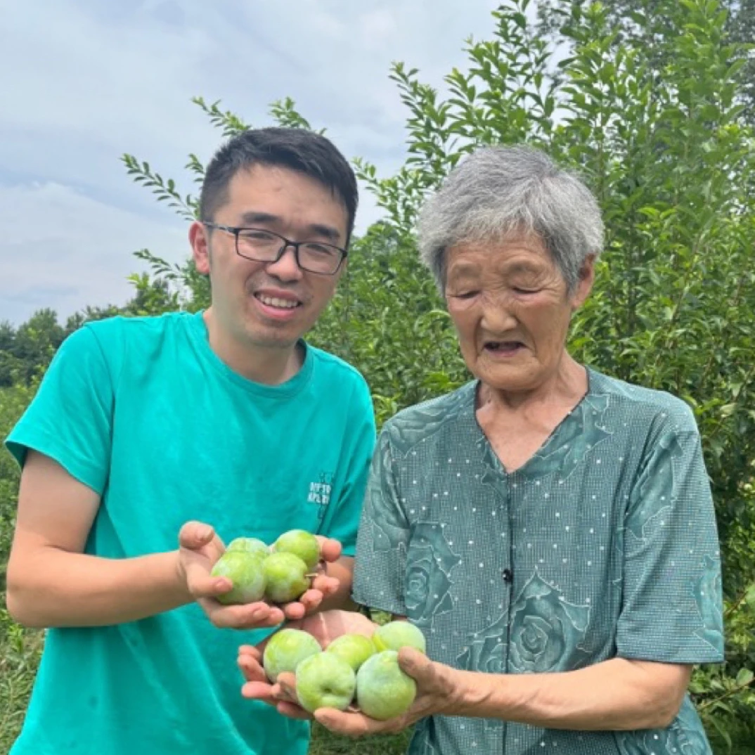 恩施奈李新鲜水果现摘现发3斤/5斤包邮