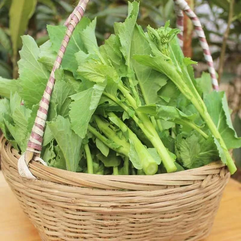(油菜苔)恩施新鲜油菜苔现摘现发1000克起包邮