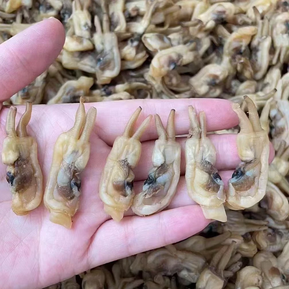 福建海鲜特产莆田哆头特级蛏子干8成干海蛏干无沙小蛏干干货500g
