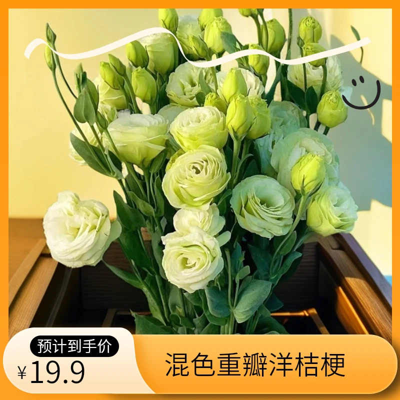 洋桔梗花卉桔梗种子阳台庭院地栽植物好养易活种子花期耐寒种植