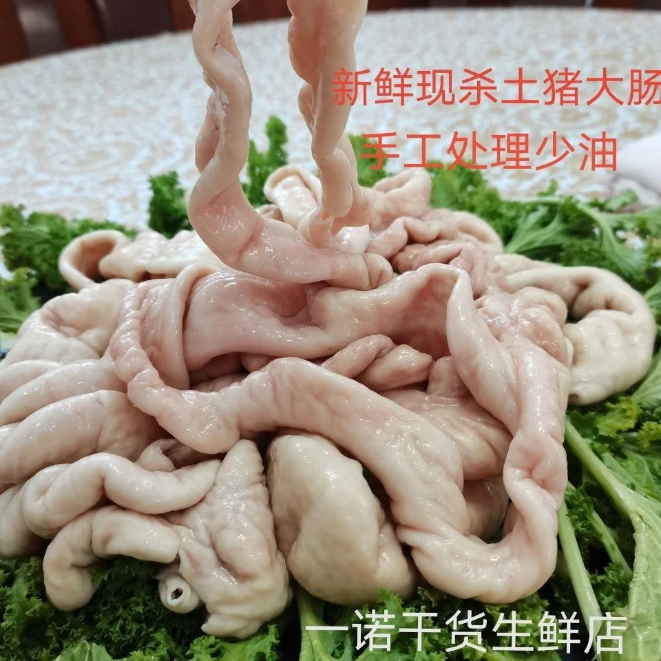 新鲜猪大肠免洗去油九分熟猪大肠肥肠新鲜大肠头干净新鲜猪肠子
