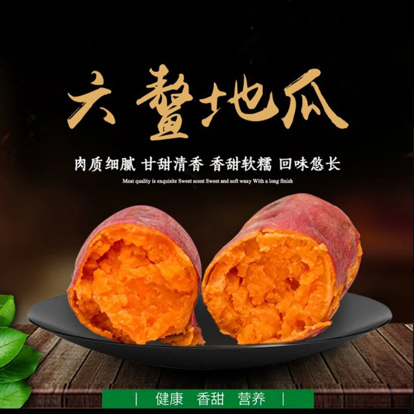福建正宗六鳌红蜜薯低热量肉厚鲜甜原生态沙地种植口感丝滑细腻