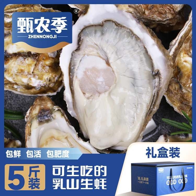 【5斤/1箱-礼品装】乳山生蚝 优质鲜活 可生吃刺身生蚝