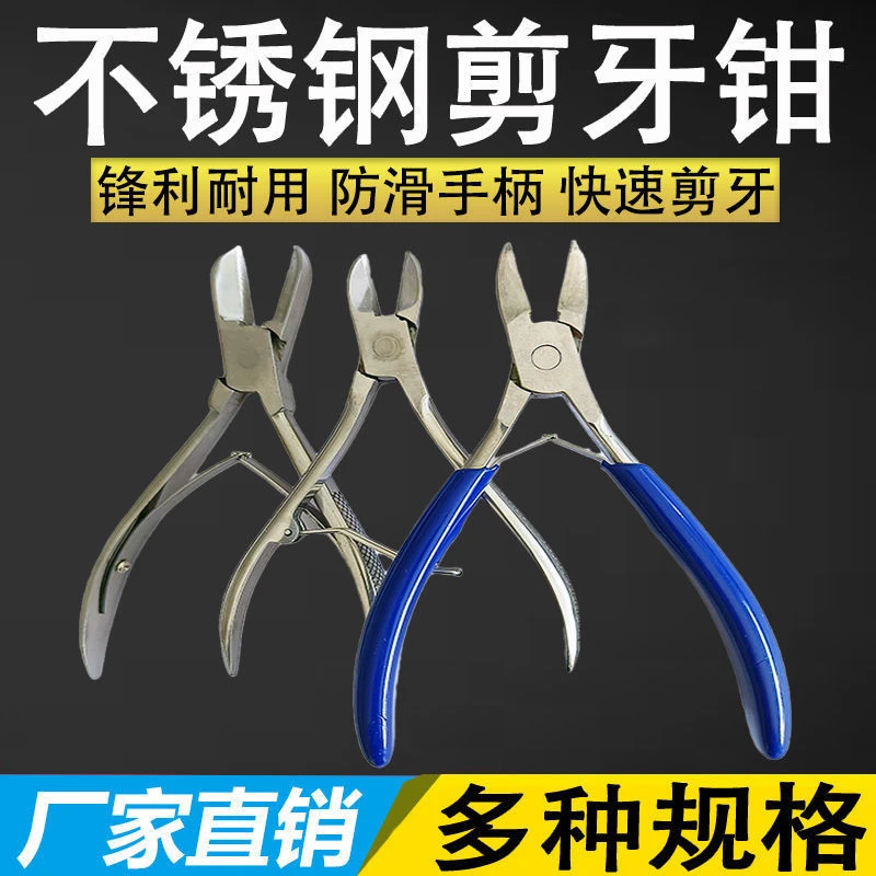 小猪剪牙钳不锈钢仔猪用断牙钳兔子去牙器仓鼠断牙剪兽用牙齿工具