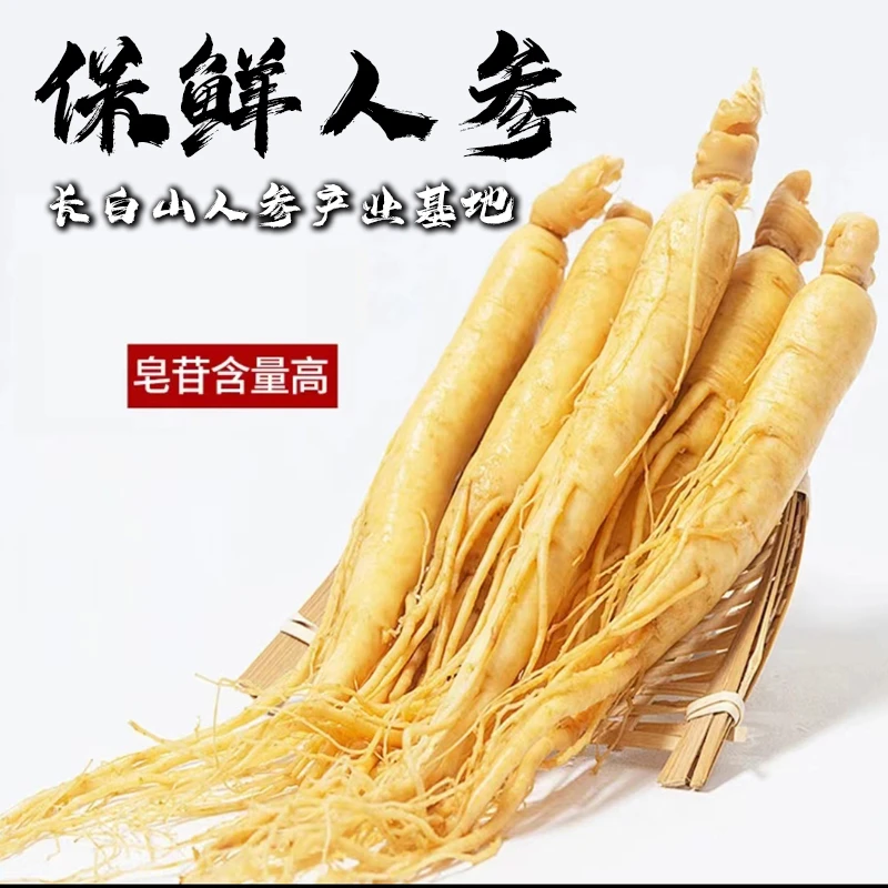长白山保鲜参品质保证独立真空包装食用单支6g拍1发5花